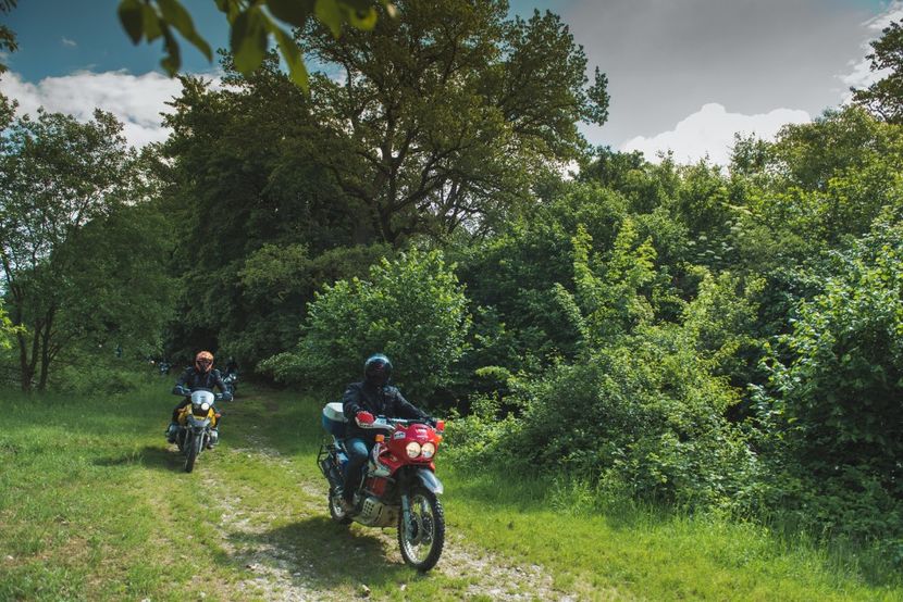  - Motogoat 2018