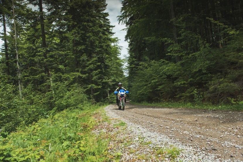  - Motogoat 2018