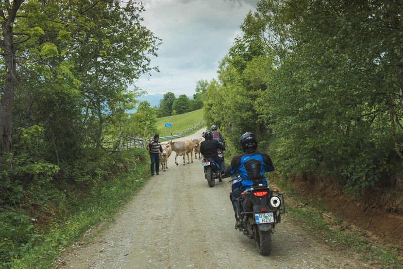  - Motogoat 2018