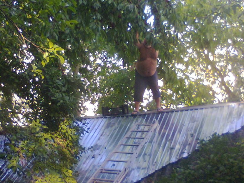 Fotografie3899 - 2018 VARA LA GRĂDINA