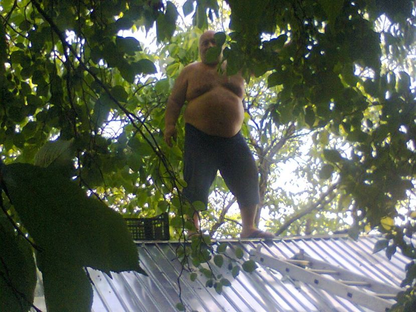 Fotografie3900 - 2018 VARA LA GRĂDINA