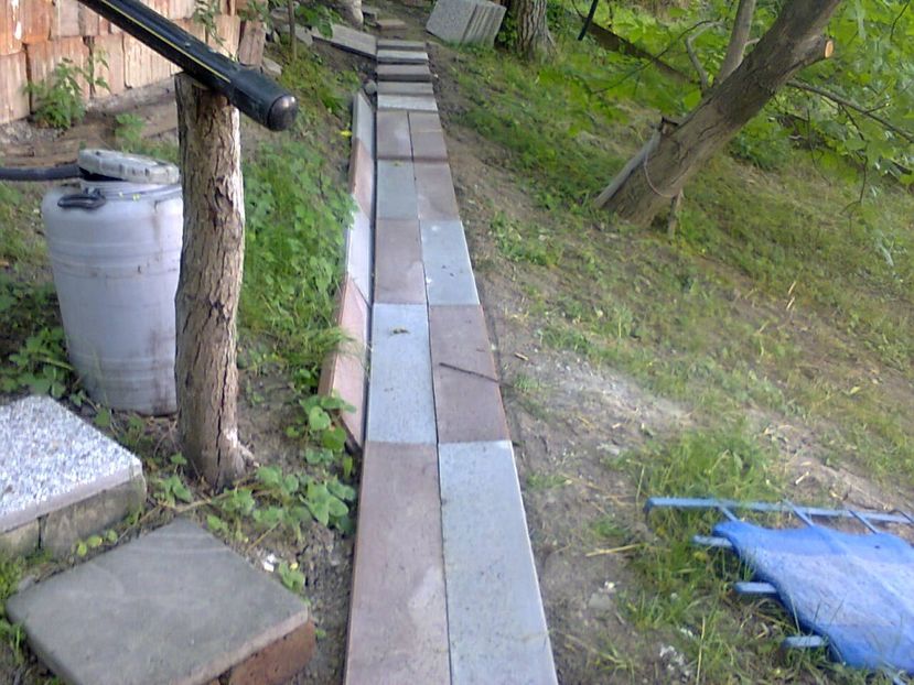 Fotografie3905 - 2018 VARA LA GRĂDINA