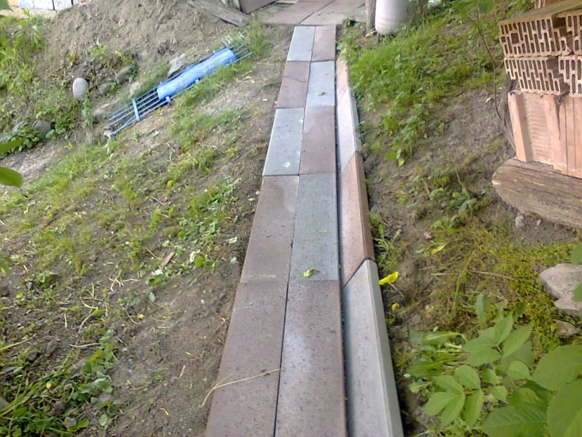 Fotografie3907 - 2018 VARA LA GRĂDINA