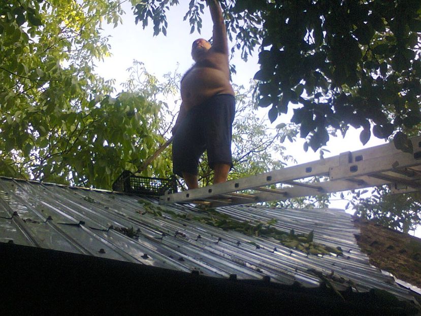 Fotografie3909 - 2018 VARA LA GRĂDINA