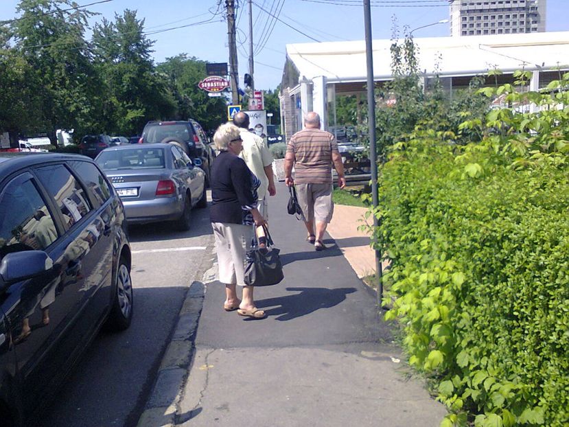 Fotografie3979 - 2018 CONCEDIU FELIX 31mai-14iunie