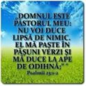 download (19) - b-Despre voi-b
