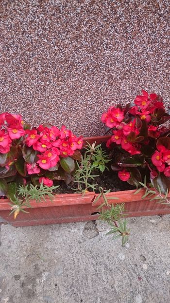 1529134144719-106468131 - 2018 VARA