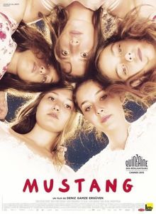 11.mustang❤ - 04Turkiye-Filme Turcesti