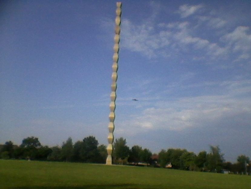 Fotografie-0065 - Poze 2018