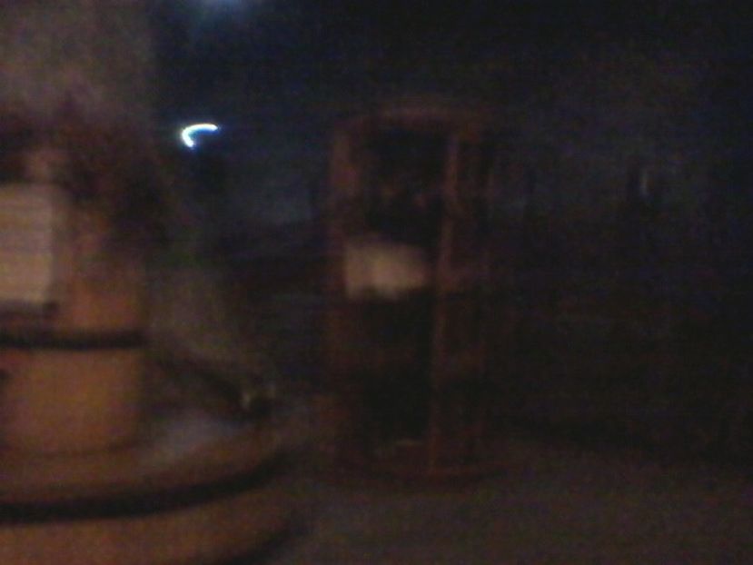 Fotografie-0087 - Poze 2018