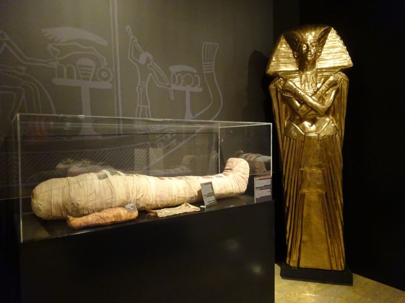  - 00 Comorile Egiptului antic