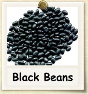 nonhybrid-blackbeans - MIrr biblic sau fasolea neagra mexicana- repara gauri in pamint - arunca semitele si acopera cu ceva