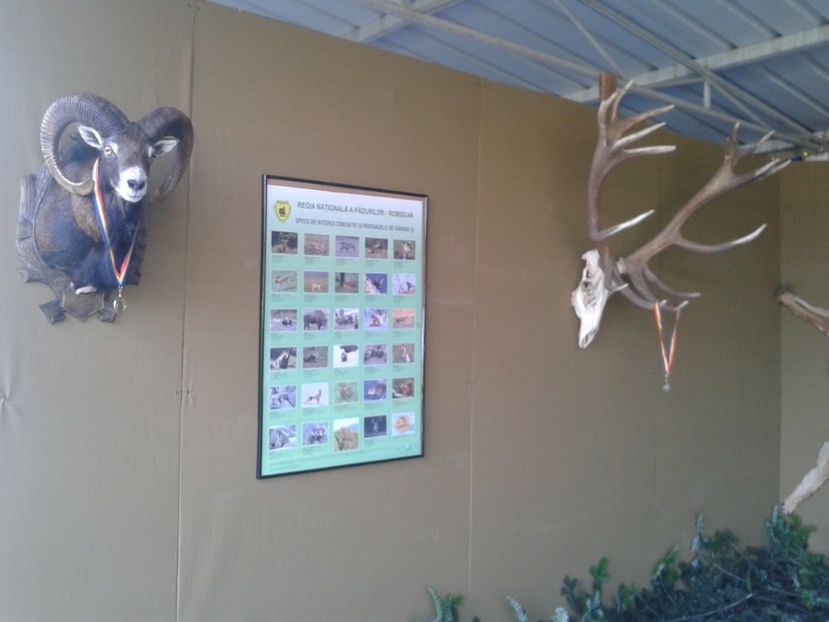 Fotografie0111 - 27---expozitie banat-agralim 2018