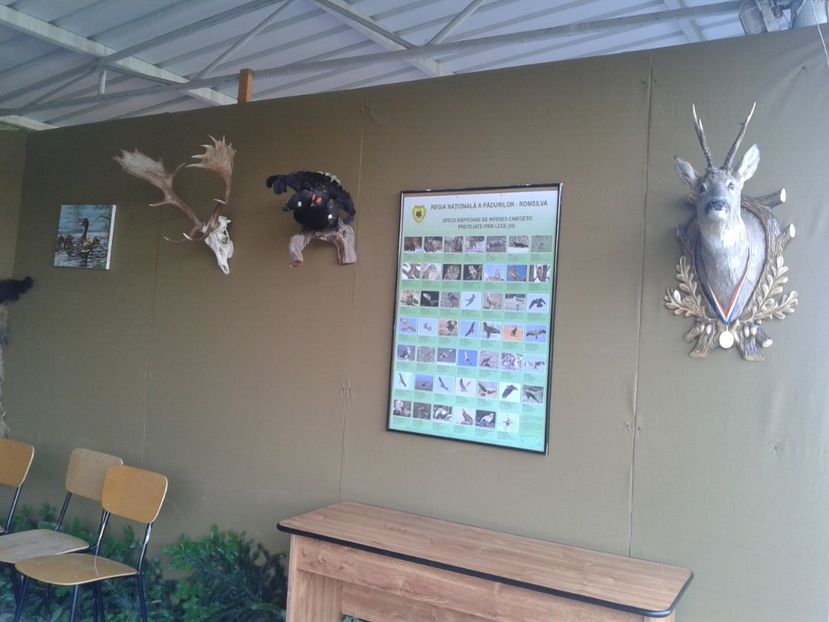 Fotografie0112 - 27---expozitie banat-agralim 2018