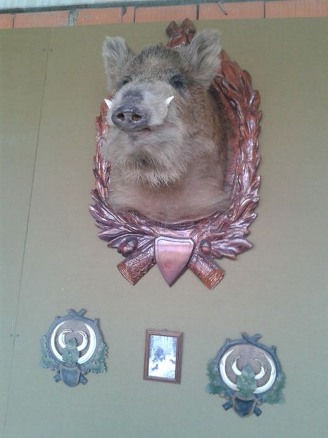 Fotografie0113 - 27---expozitie banat-agralim 2018