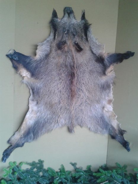 Fotografie0114 - 27---expozitie banat-agralim 2018