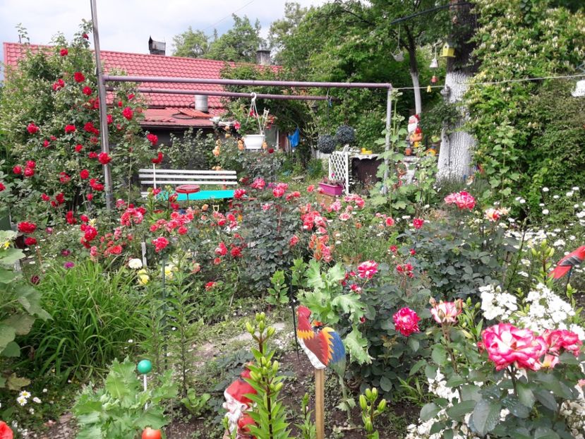  - IMAGINI MIXTE GRADINA 2018