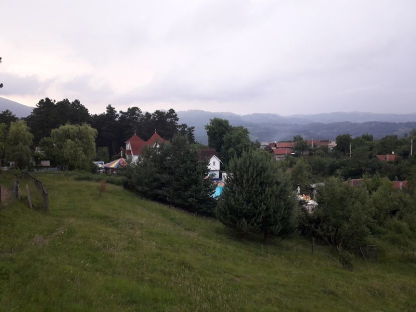  - IMAGINI MIXTE GRADINA 2018