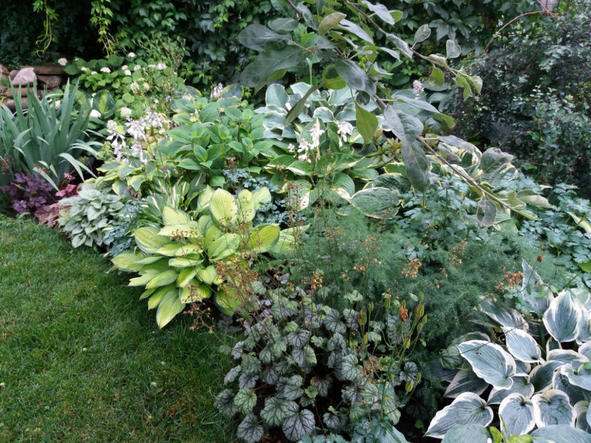 Picture 022 - Gradina 2018