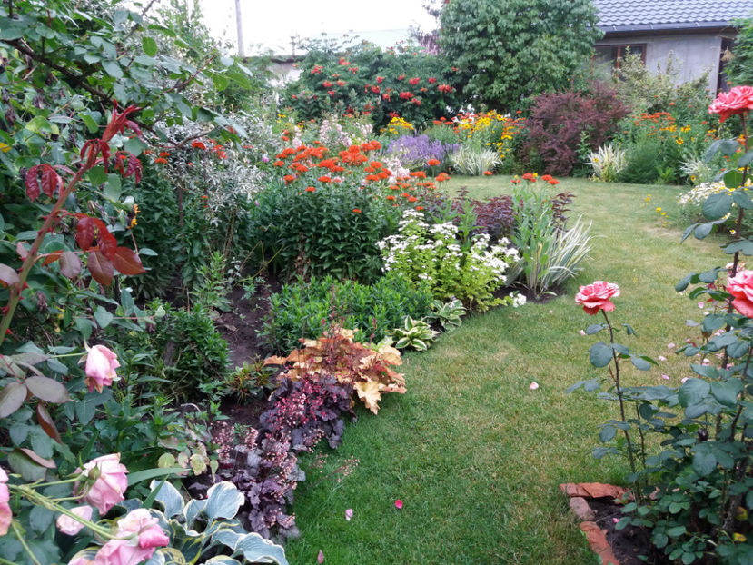 Picture 033 - Gradina 2018