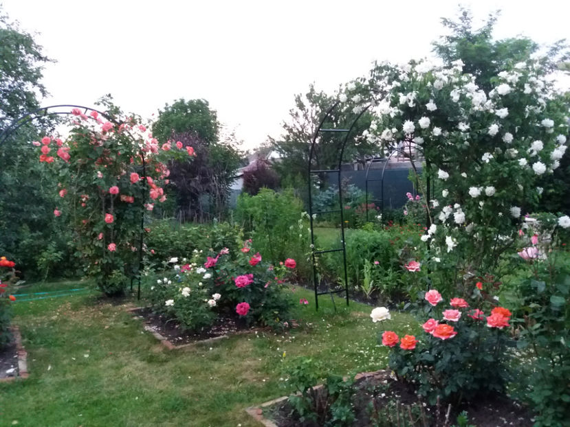 Picture 078 - Gradina 2018