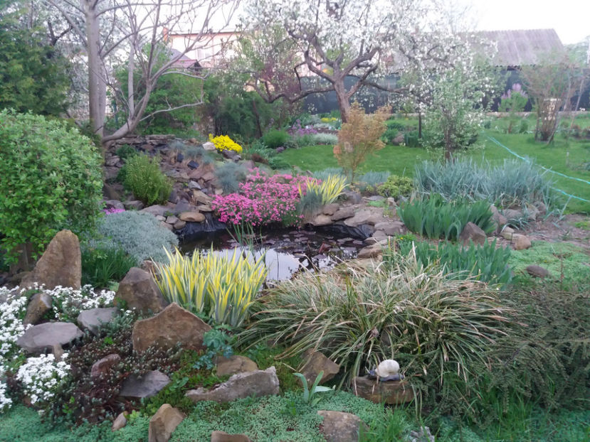 Picture 002 - Gradina 2018