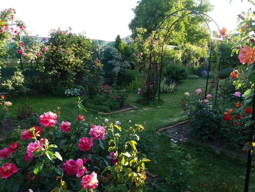 Picture 149 - Gradina 2018