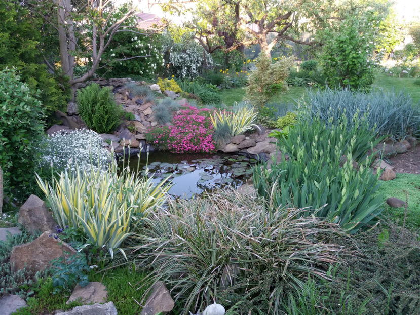 Picture 00 - Gradina 2018