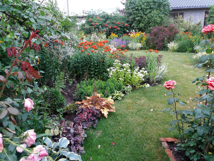 Picture 272 - Gradina 2018