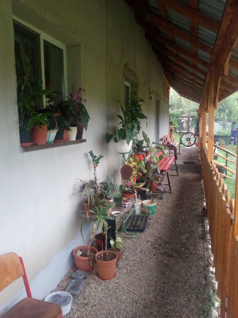  - Casuta noastra de la tara