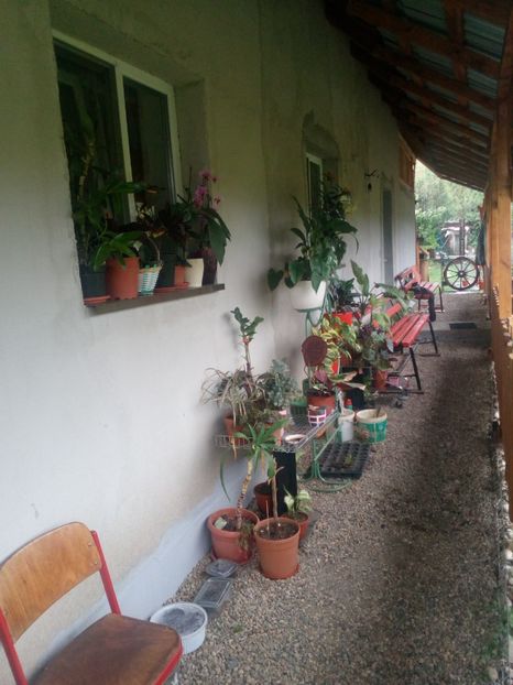  - Casuta noastra de la tara