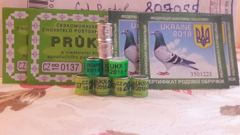 Primite azi din Cehia 18 iunie 2018 - C - INELE DE COLECTIE - RING PIGEON COLLECTION