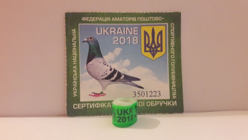 2018 UKR FCI - UKRAINA - UKR