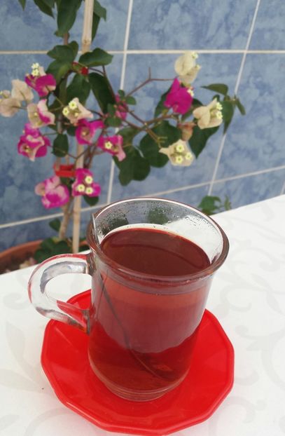 20180518_191412-1 - Vara prin alte țări