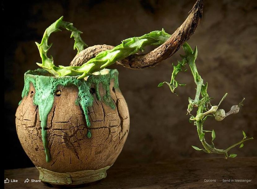 Mark Follon: Ceropegia - Vase - aranjamente - accesorii