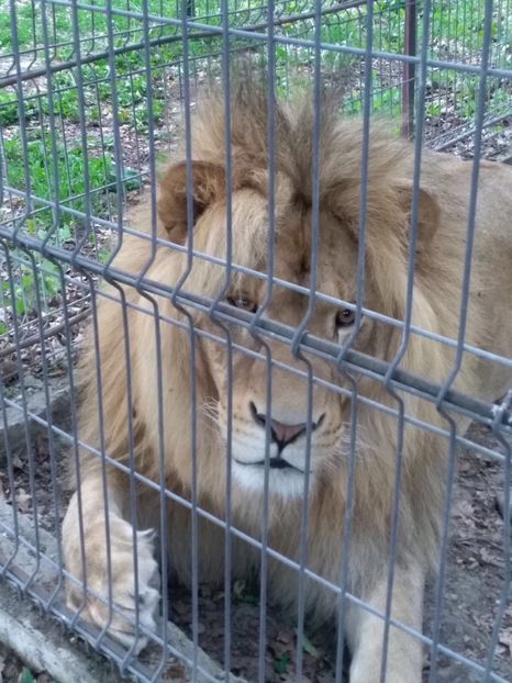 FF50568C-3054-4E98-8885-6AD682E215EA - Noutăți