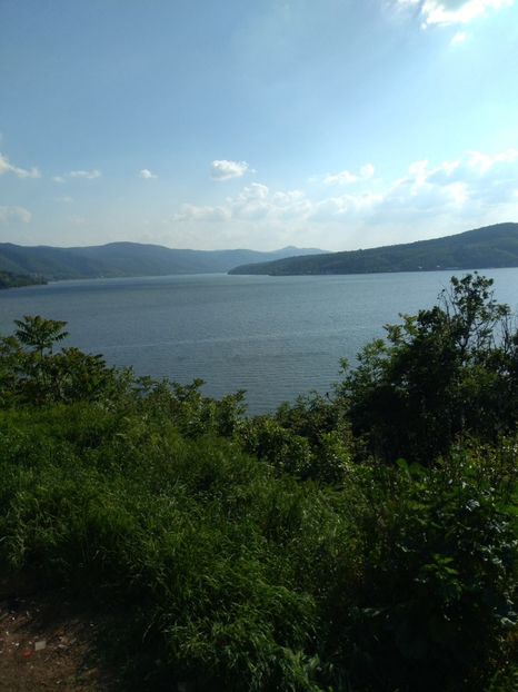 1F913878-66BD-4177-8433-D715A1CBEB1F - Noutăți