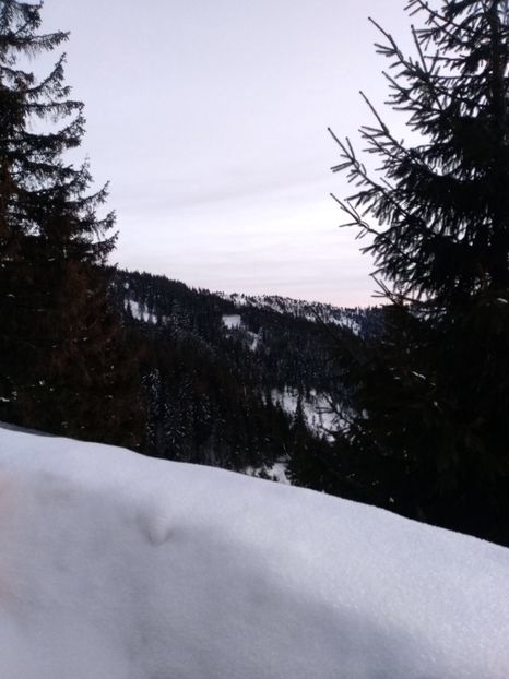 3A590713-F16D-4BE7-98B3-C3A0E0375610 - Noutăți