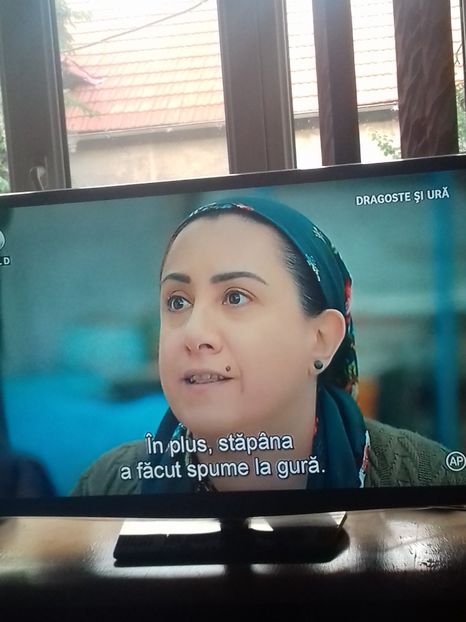  - Birgul