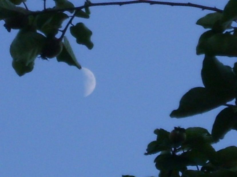 Luna Noua in Fecioara - Luna - Soarele si norii - 1