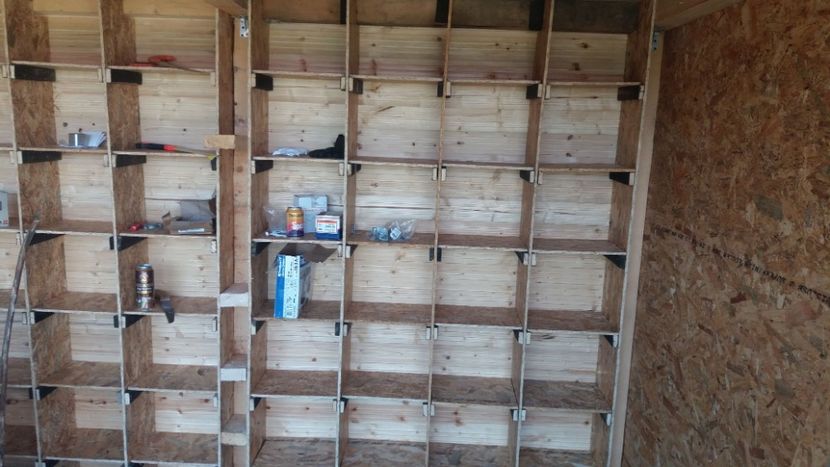 IMG-20180531-WA0003 - Noua Crescatorie 2018