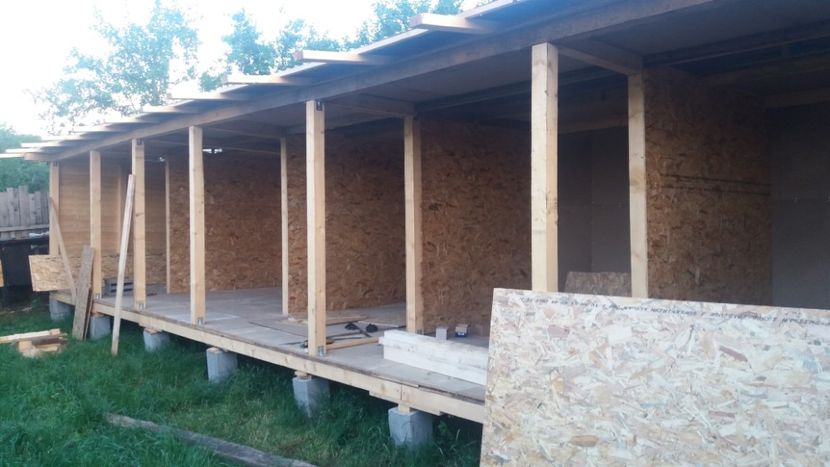  - Noua Crescatorie 2018