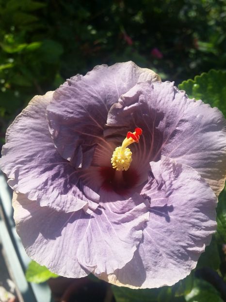 20-06-2018 - Calm Ocean