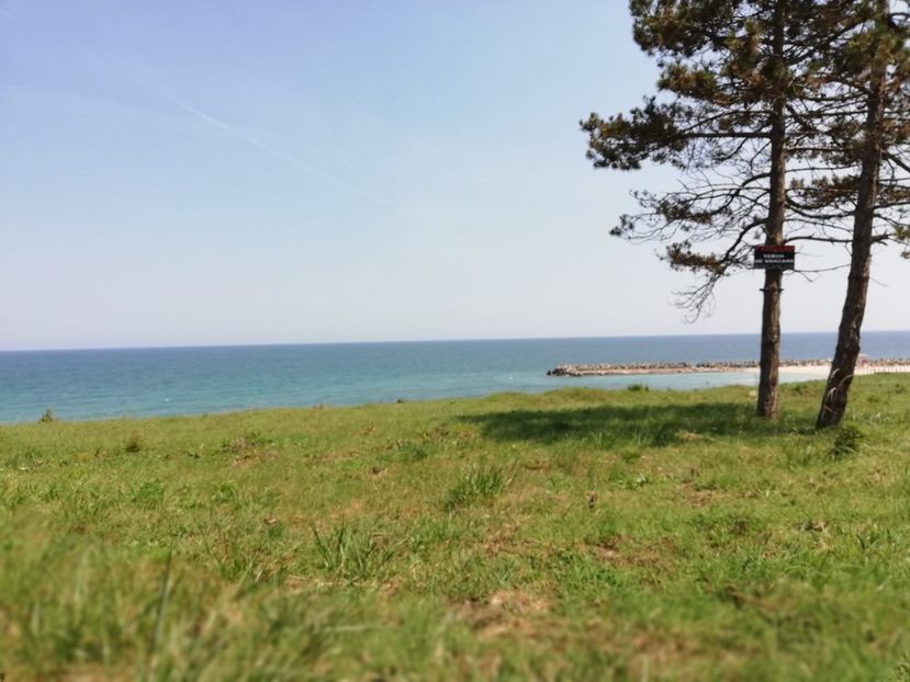 IMG-20180621-WA0010 - de prin curte