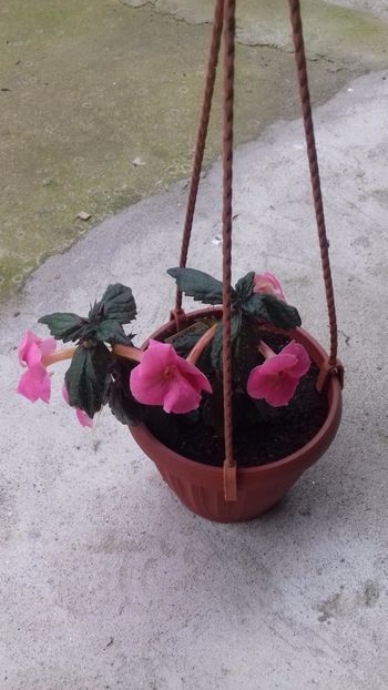 21.06.2018 - Konrad Michelssen-gabi gligor