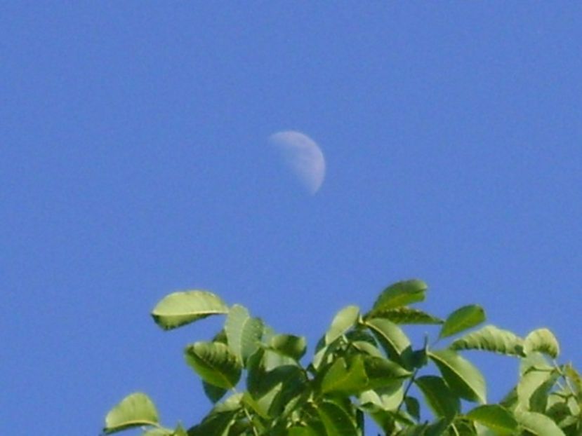 Primul patrar, luna in Balanta - Luna - Soarele si norii - 1