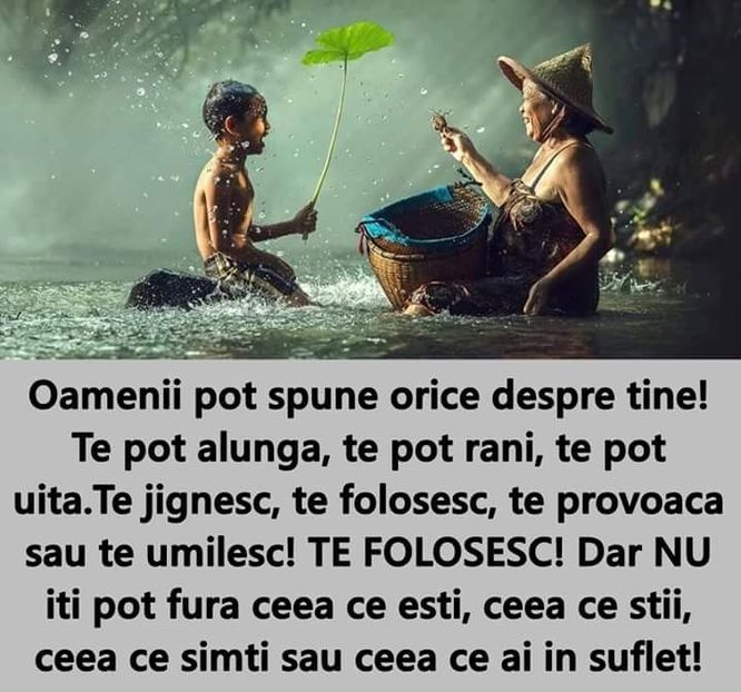  - Poze 5