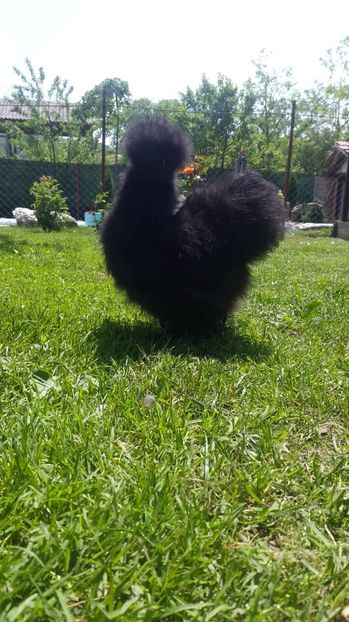 IMG-20180601-WA0010 - Pui 2018