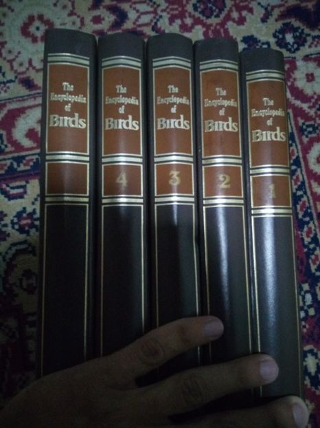 Cele 5 volume - 1 - DE VANZARE