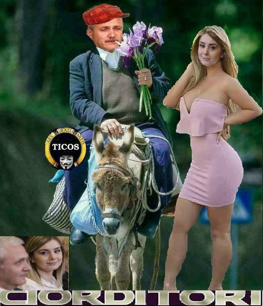  - Poze haioase pamflet